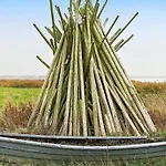 Apartament 5 Star In *