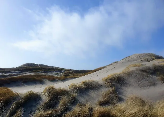 Apartment Luxury With Jacuzzi *
